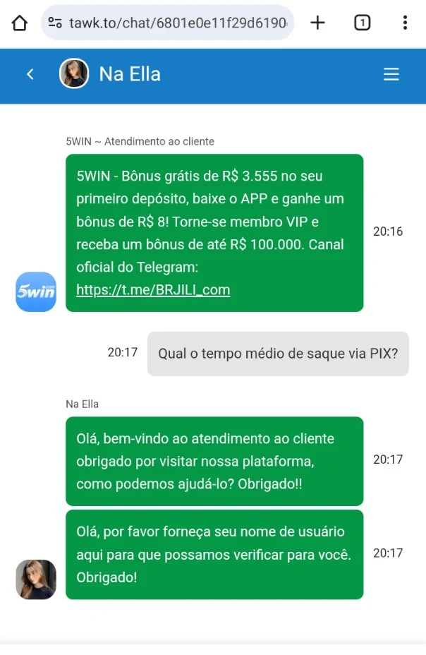 Suporte 5win via Tawk.to em pt-BR: atendente Na Ella respondeu em 1 minuto sobre limites de depósito